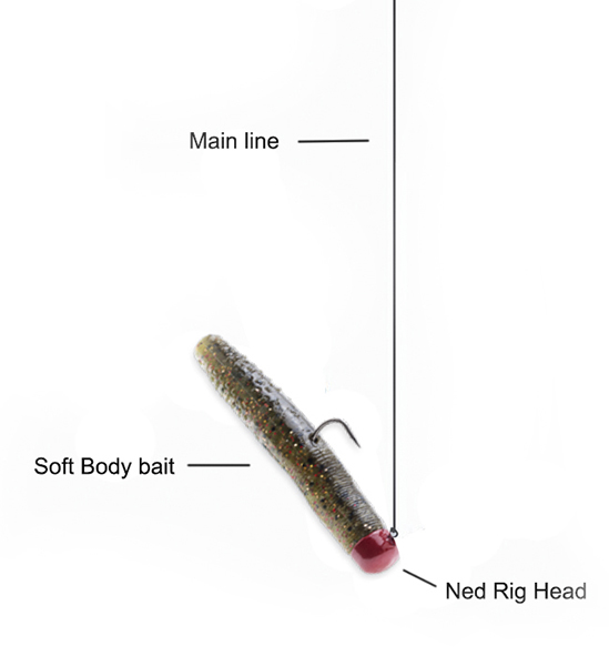 Ned Rig for Bottom Fishing in Challenging Conditions