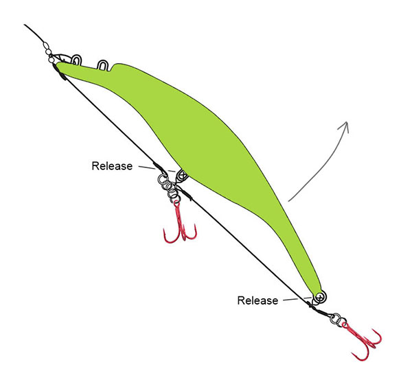 The Release Rig for Pike Fishing