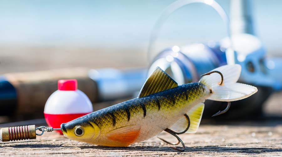 Best Bait for Largemouth Bass Fishing A Complete Guide