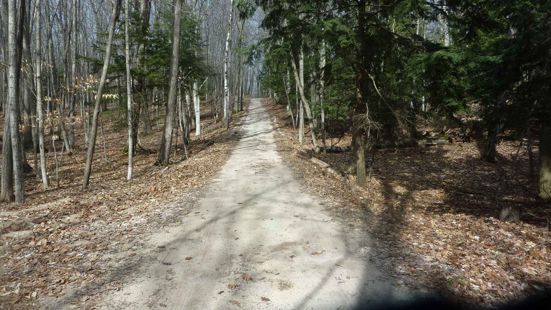 Frankfort Michigan Real Estate Vaughan Realty