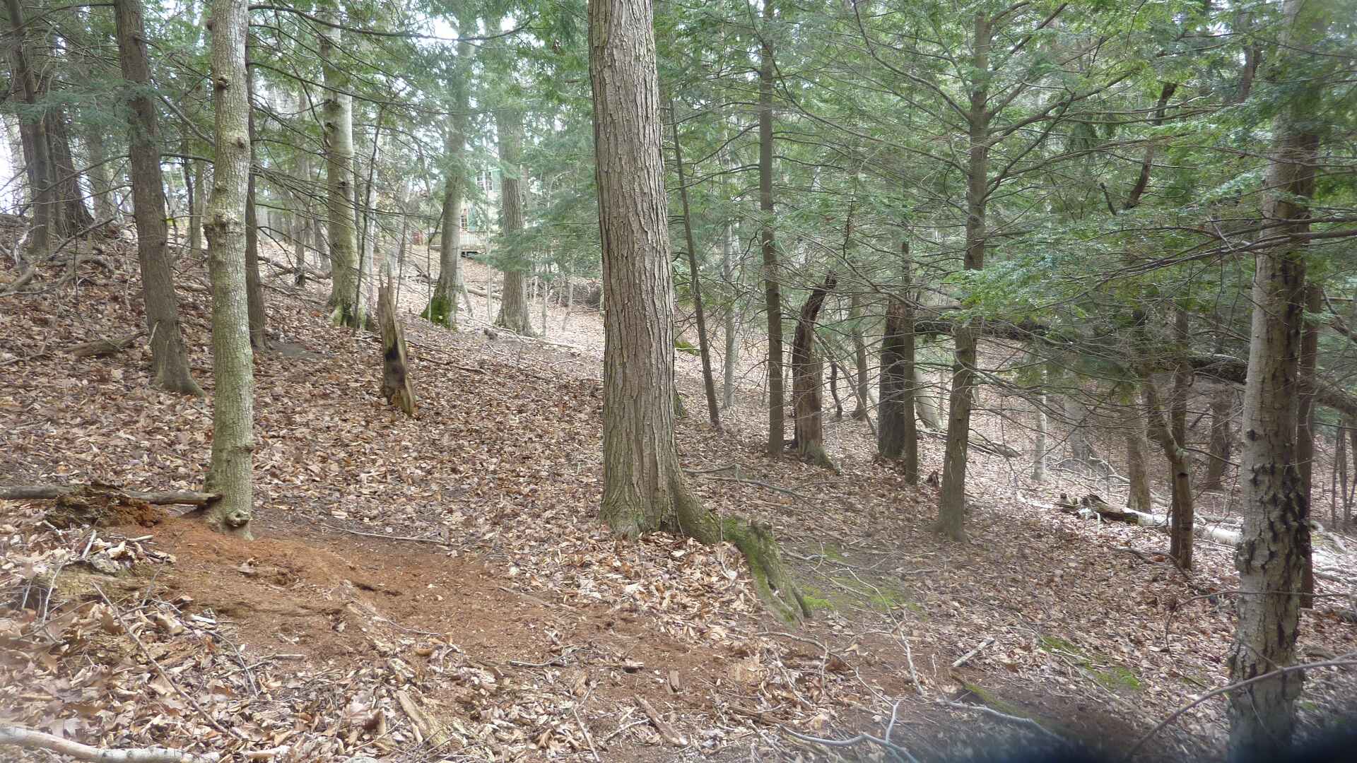 Frankfort Michigan Real Estate Vaughan Realty