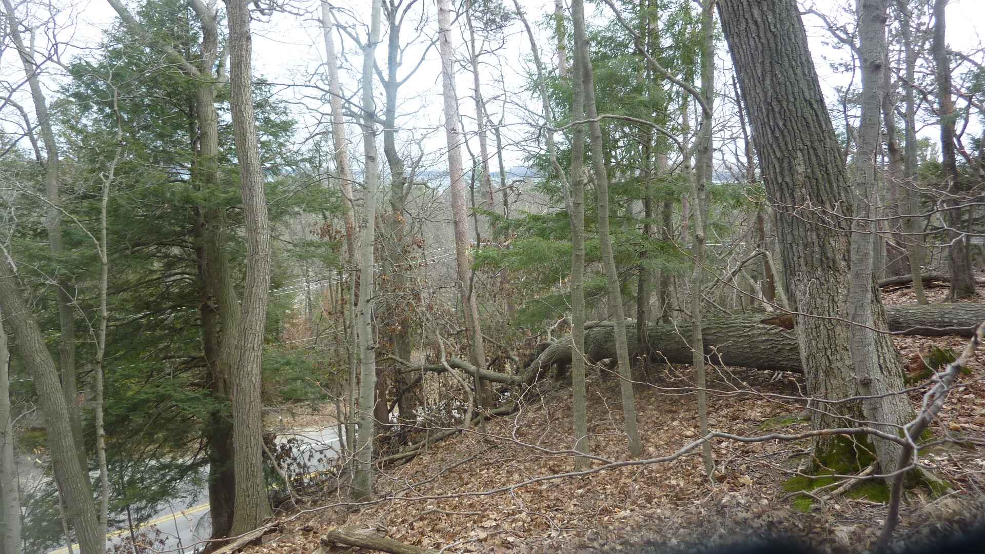 Frankfort Michigan Real Estate Vaughan Realty