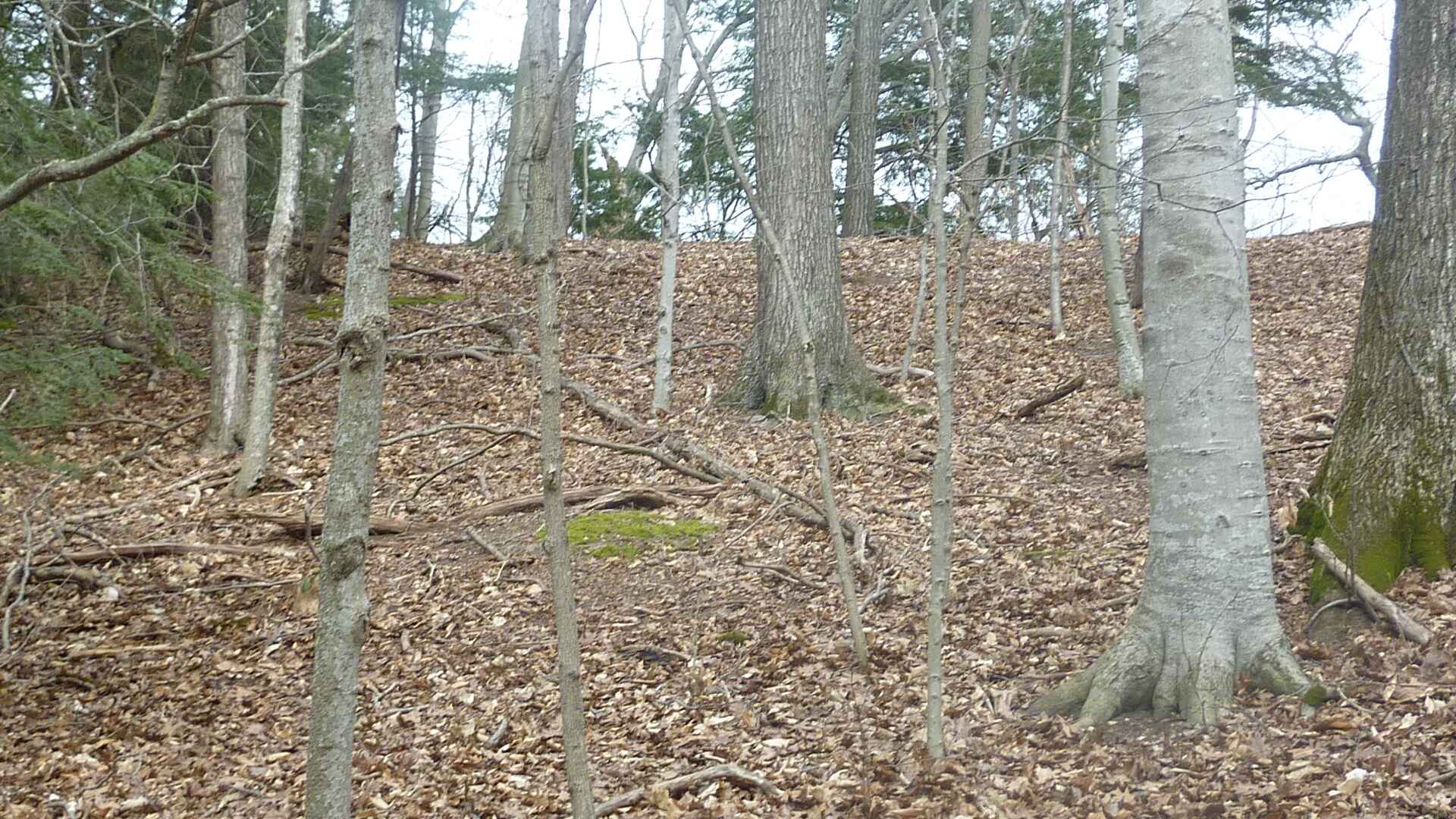 Frankfort Michigan Real Estate Vaughan Realty