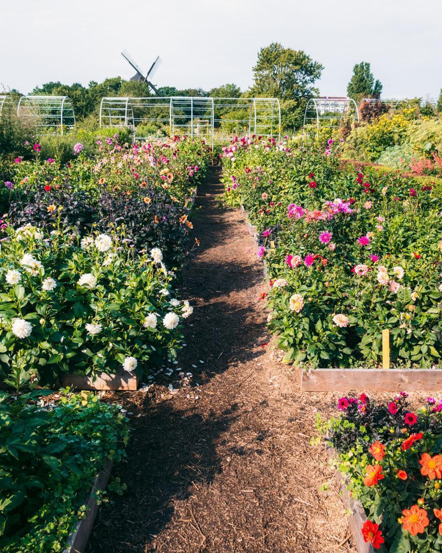 A Complete Travel Guide to Malmö in Sweden + 20 Best Things to Do
