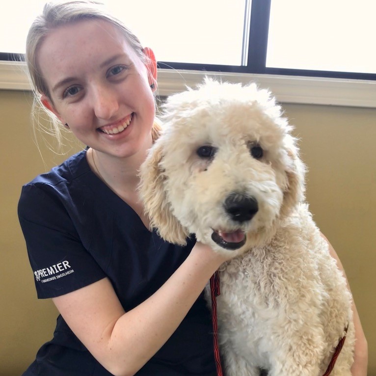 Animal Er Roy Utah SANIMALE