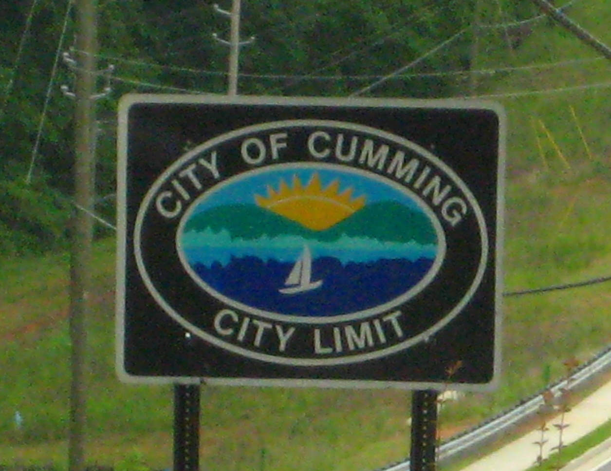 Atlanta Real Estate Remax GA Forsyth County HomesA Bit About