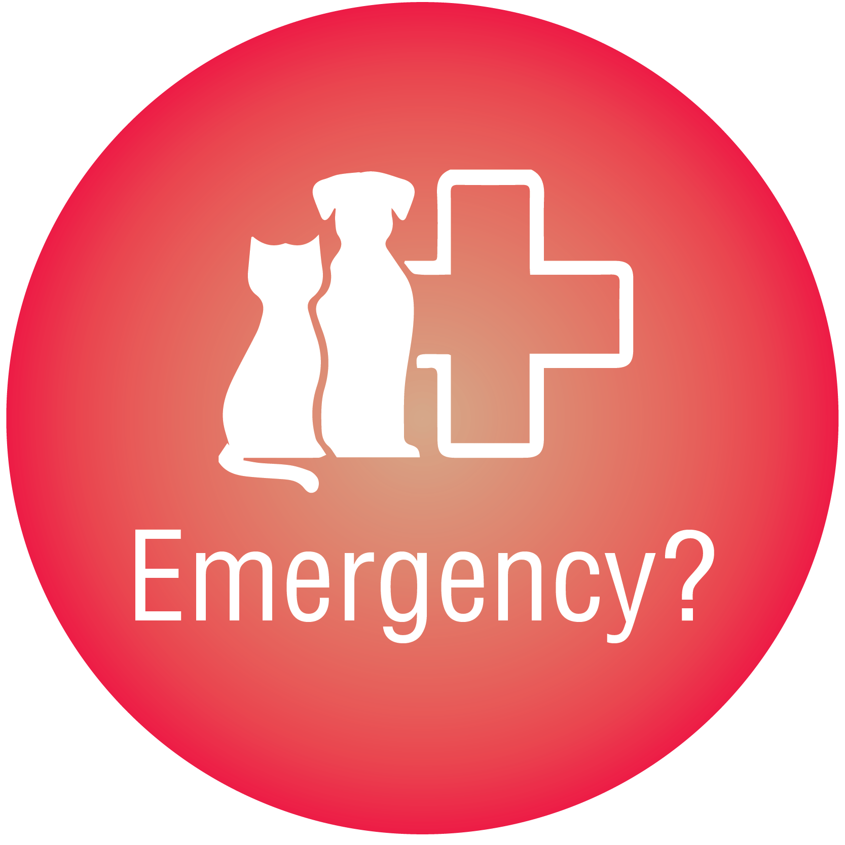 North Boros Veterinary Hospital