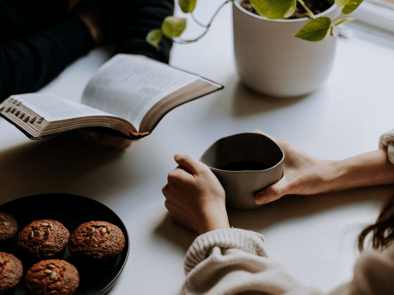 Counseling North Coast Training