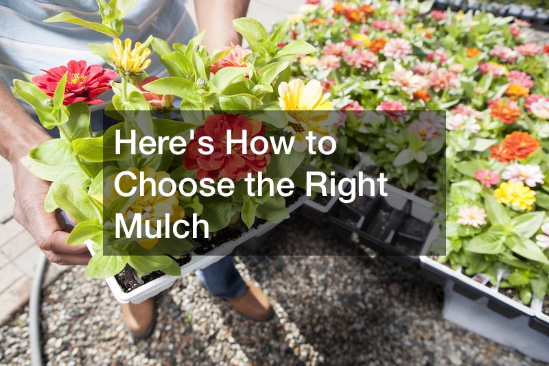 Heres How to Choose the Right Mulch NC Pool Supply