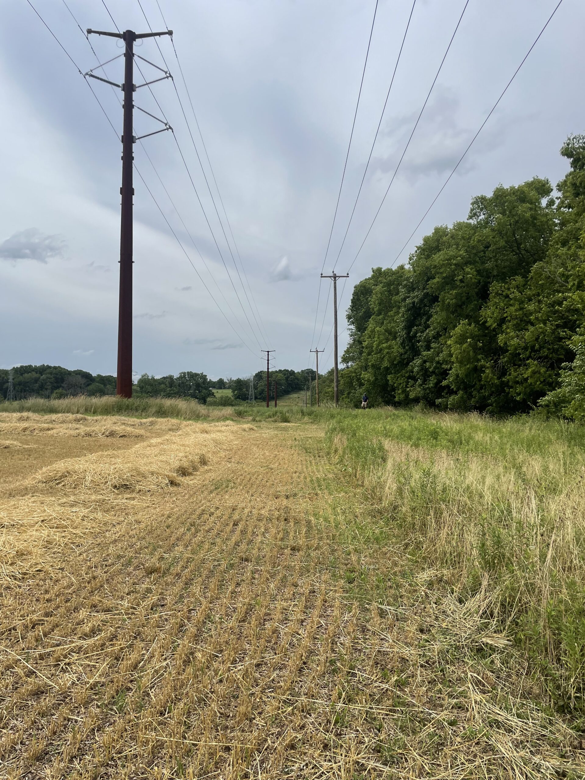 North Coventry Township Board of Supervisors Approves Land Studies