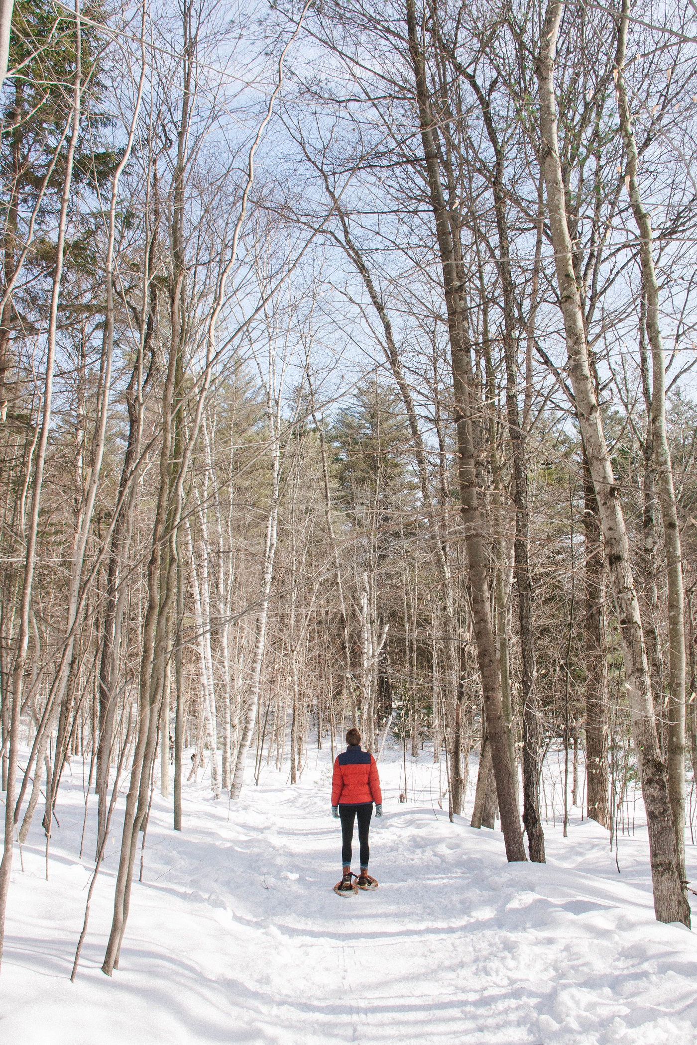 Snowshoeing in Stowe, VT northeastern nautical