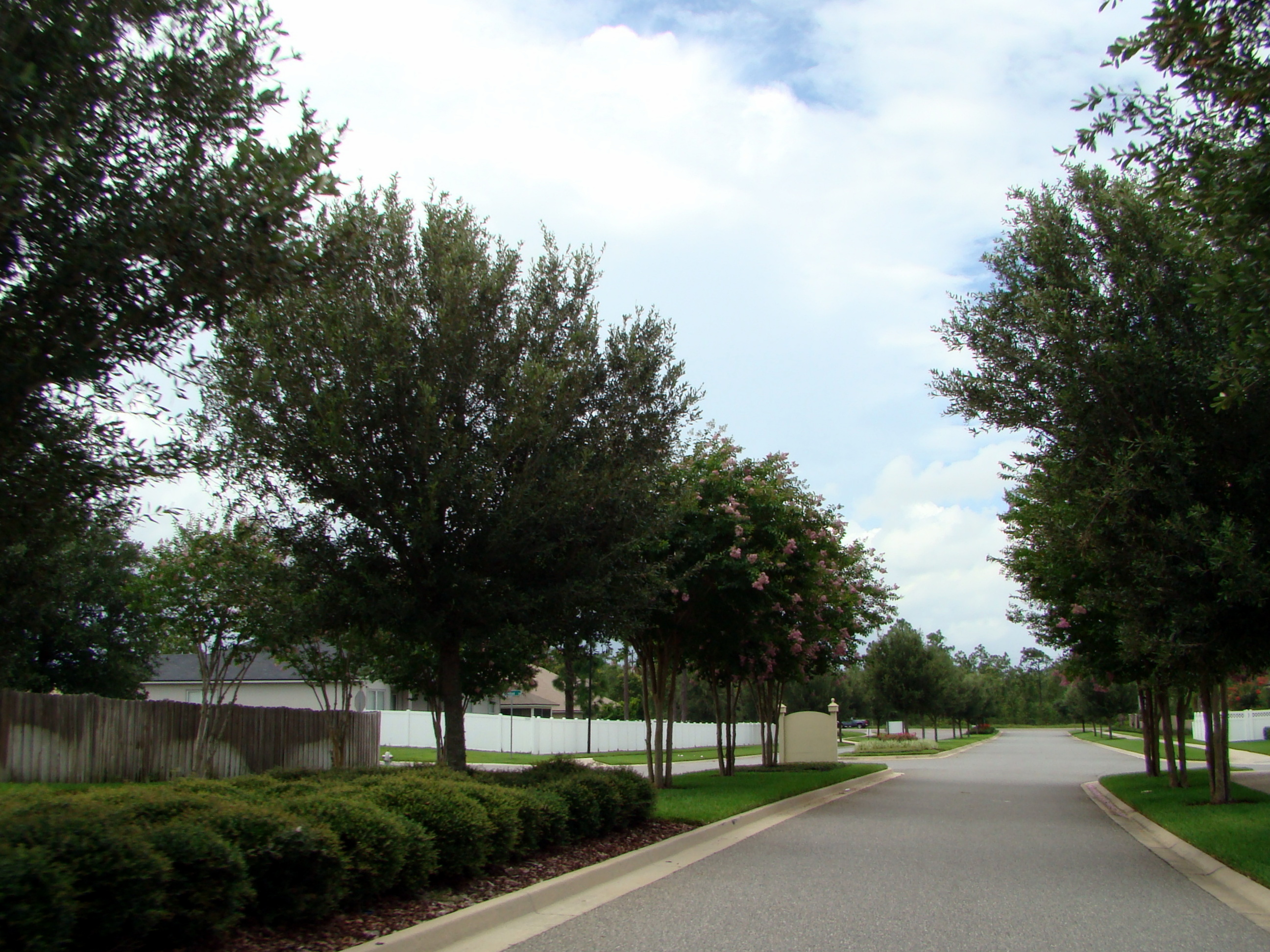 Silver Creek in Green Cove Springs, Fl Market Report July 2013