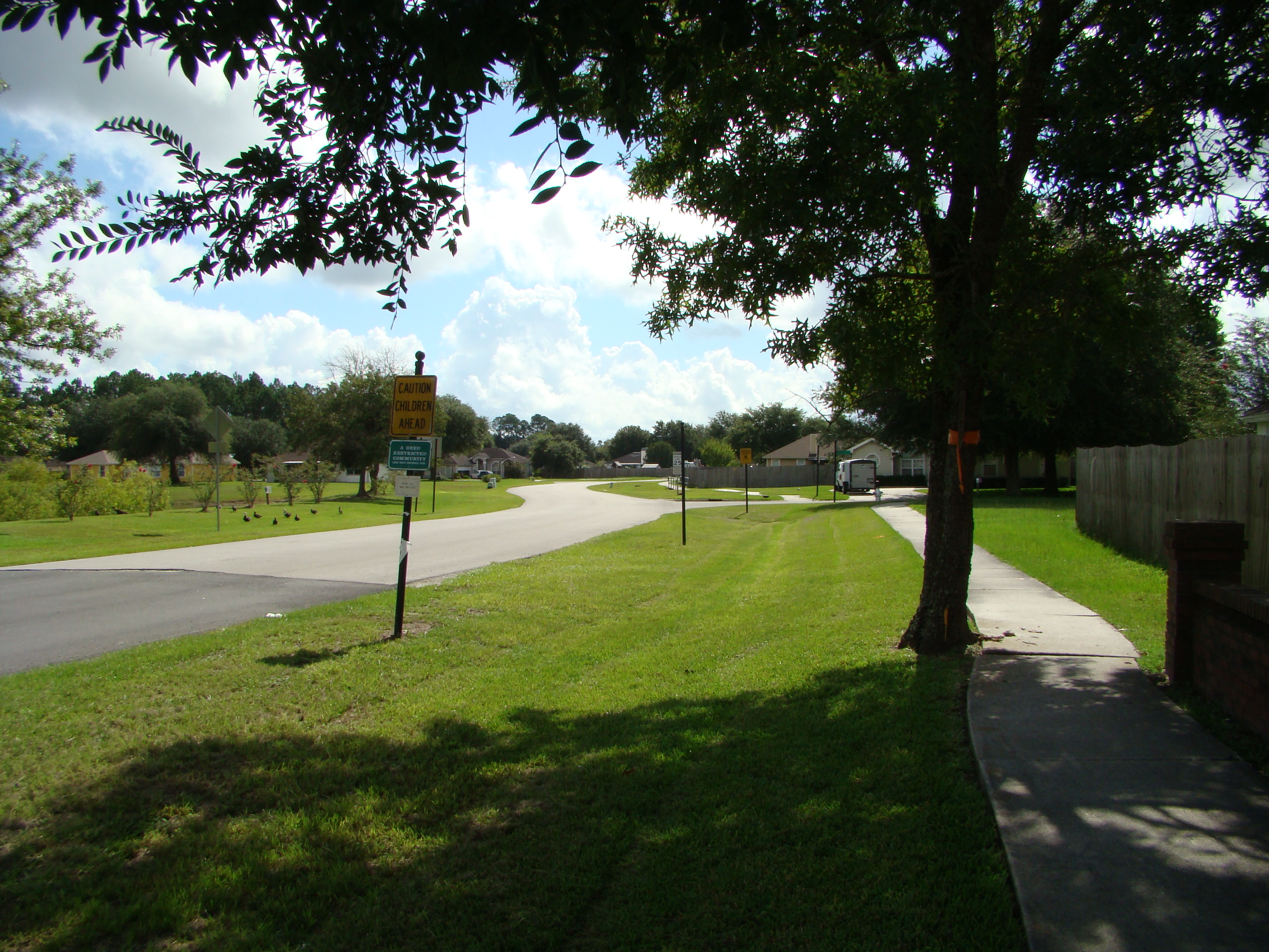 Asbury Downs in Green Cove Springs Market Report July 2013