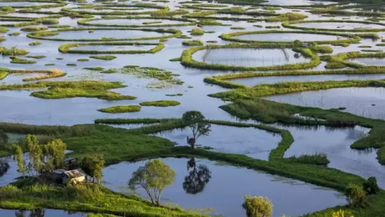 Manipur 2 People Dies After Car Falls Into Loktak Lake