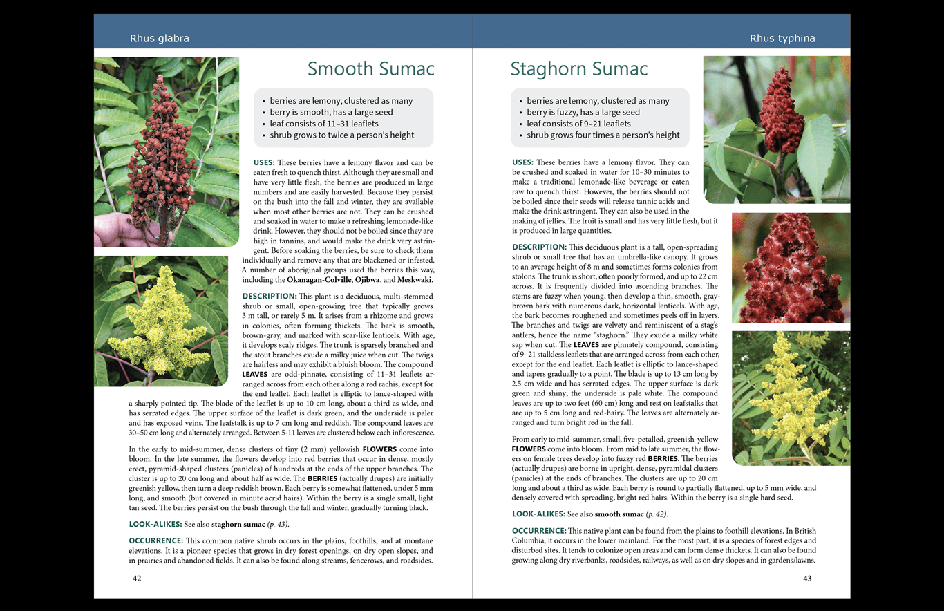 Wild Edible Berries of British Columbia by Tom Cervenka