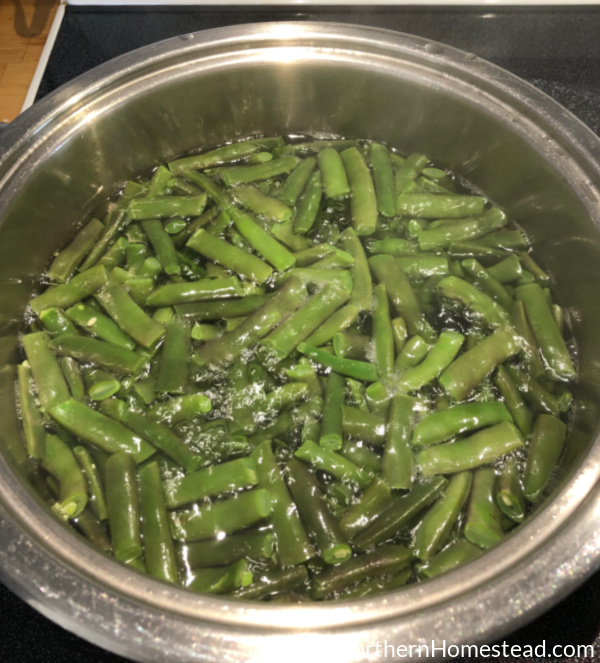 All About Freezing Vegetables Northern Homestead