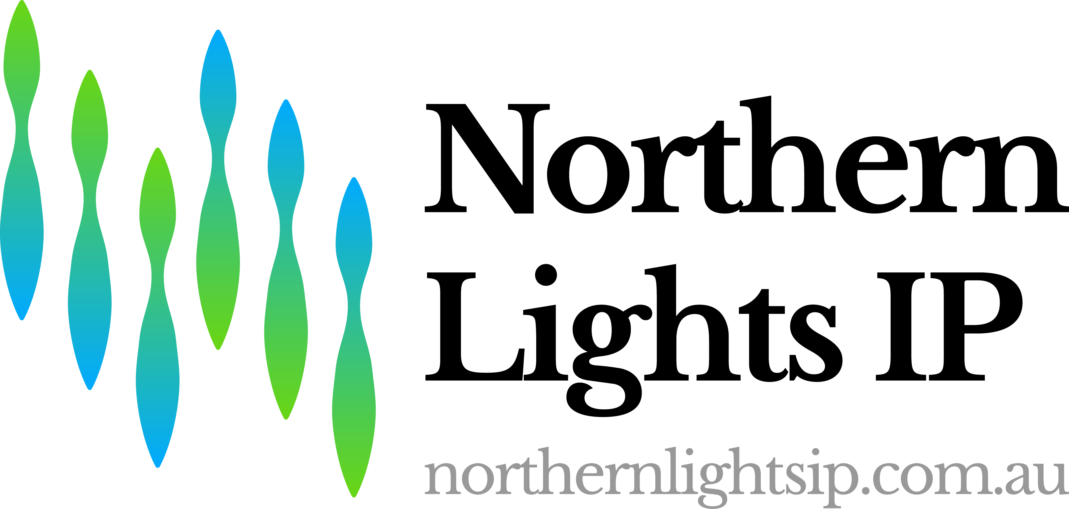 Contact Northern Lights IP