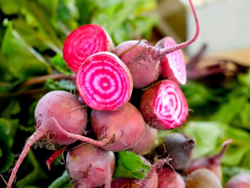 How To Store Beets Make It Last Longer! Northern Nester