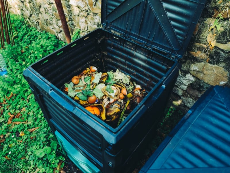 Do Compost Bins Attract Rats Garden Tips 2024 Northern Nester