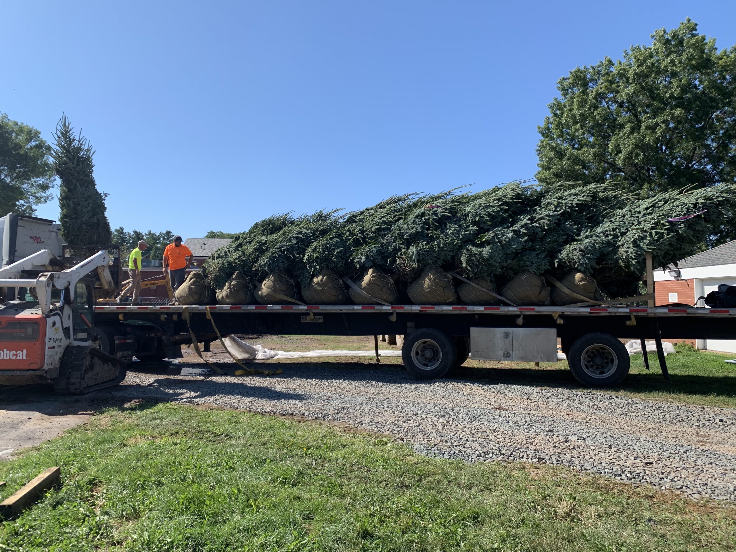 Services Northern Nurseries