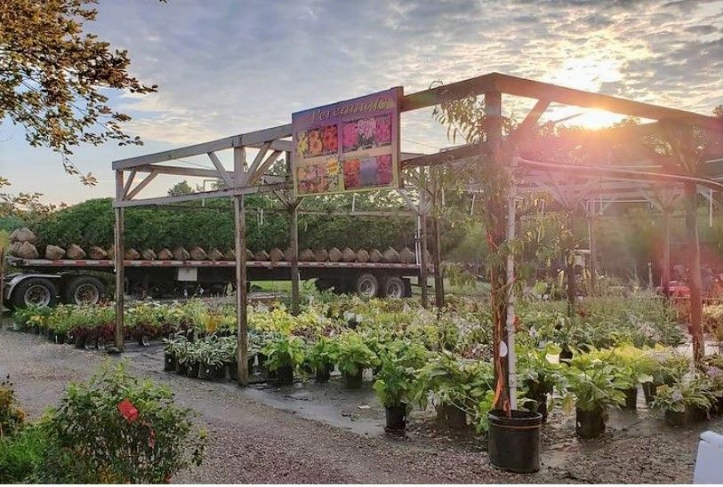 NN Gallery Northern Nurseries