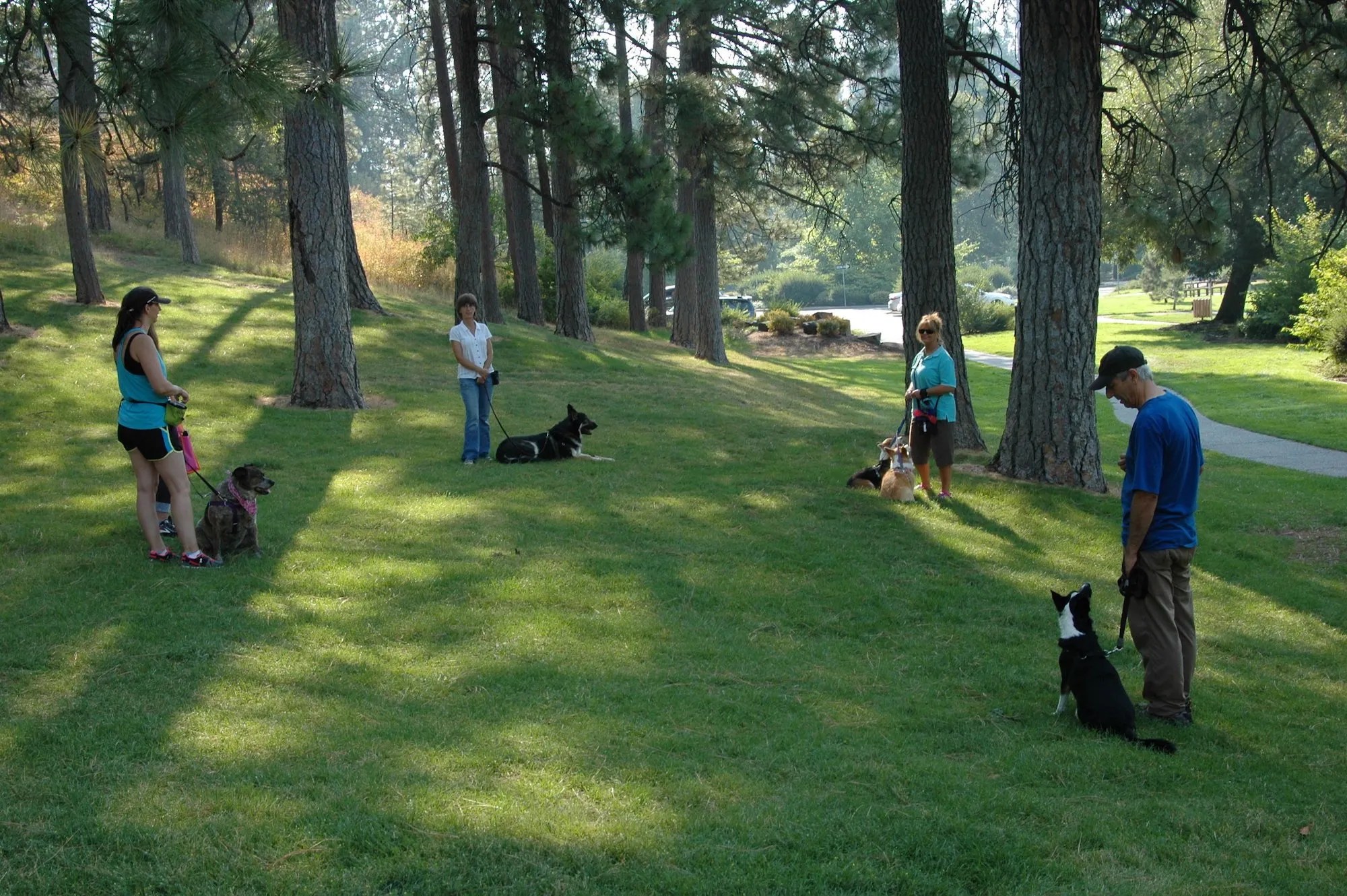 Dog Training Classes Spokane and Stevens Counties