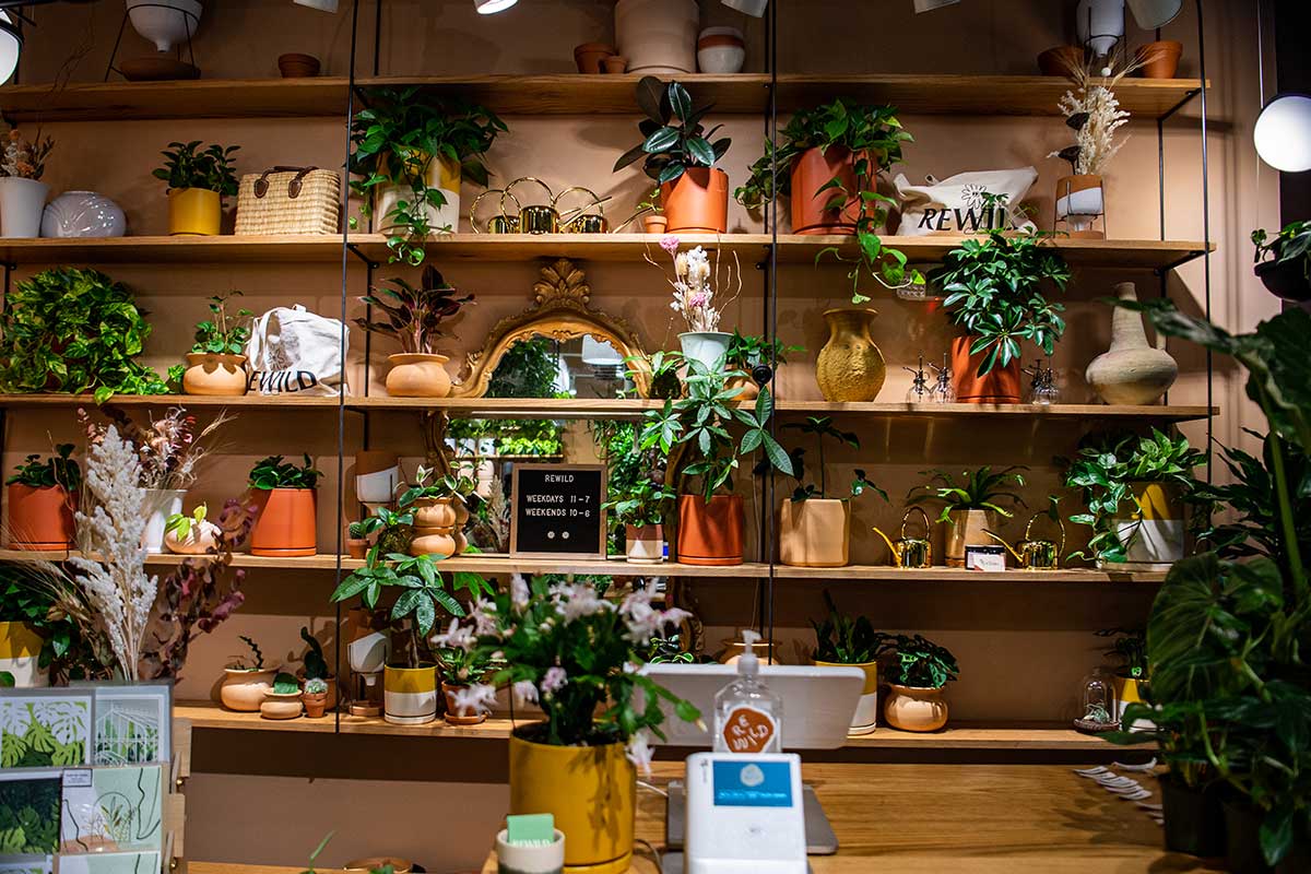 This DC Plant Shop Made Green Thumbs Cool. It Just Opened a Ballston