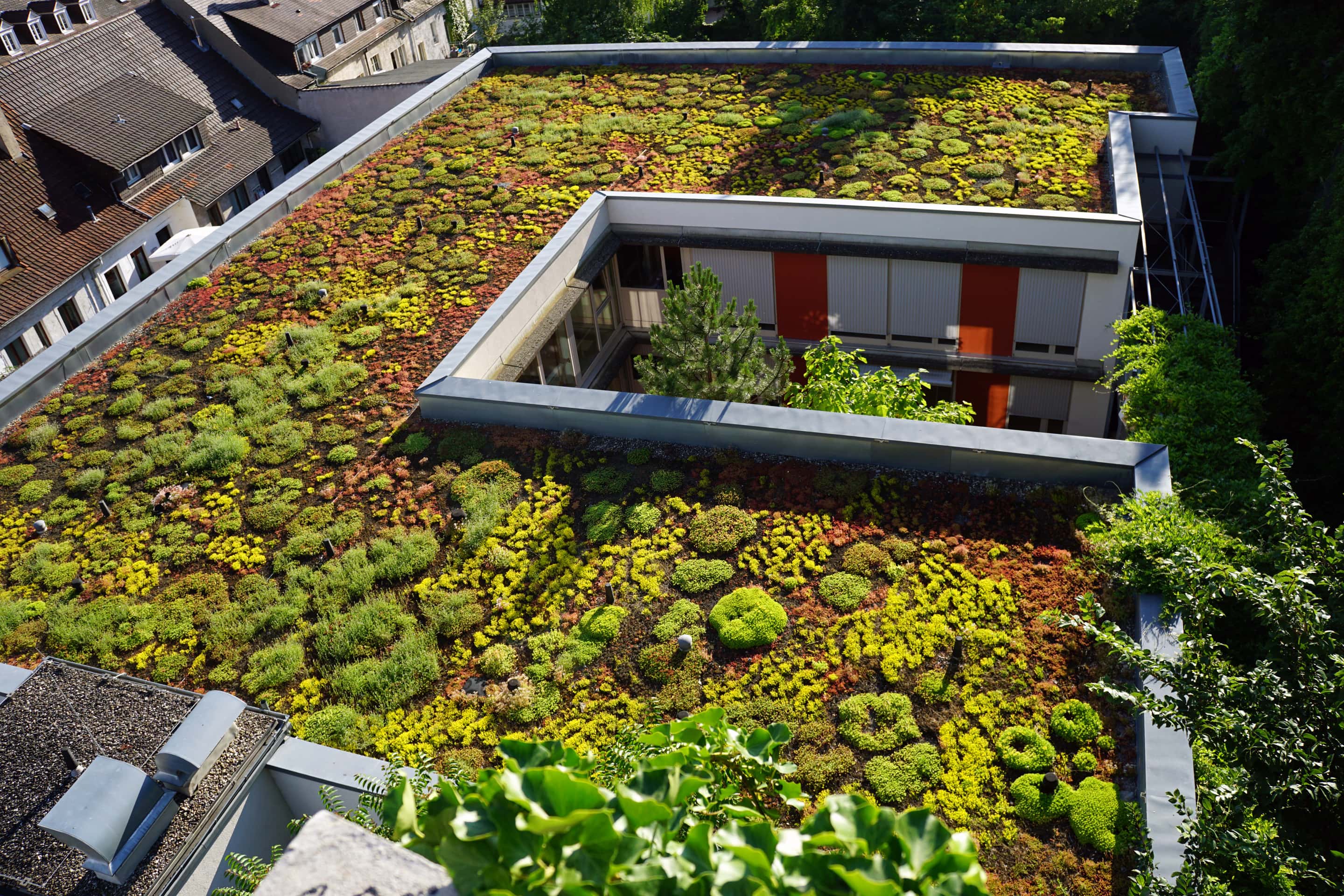 Featured Project Green Roof Northface Construction