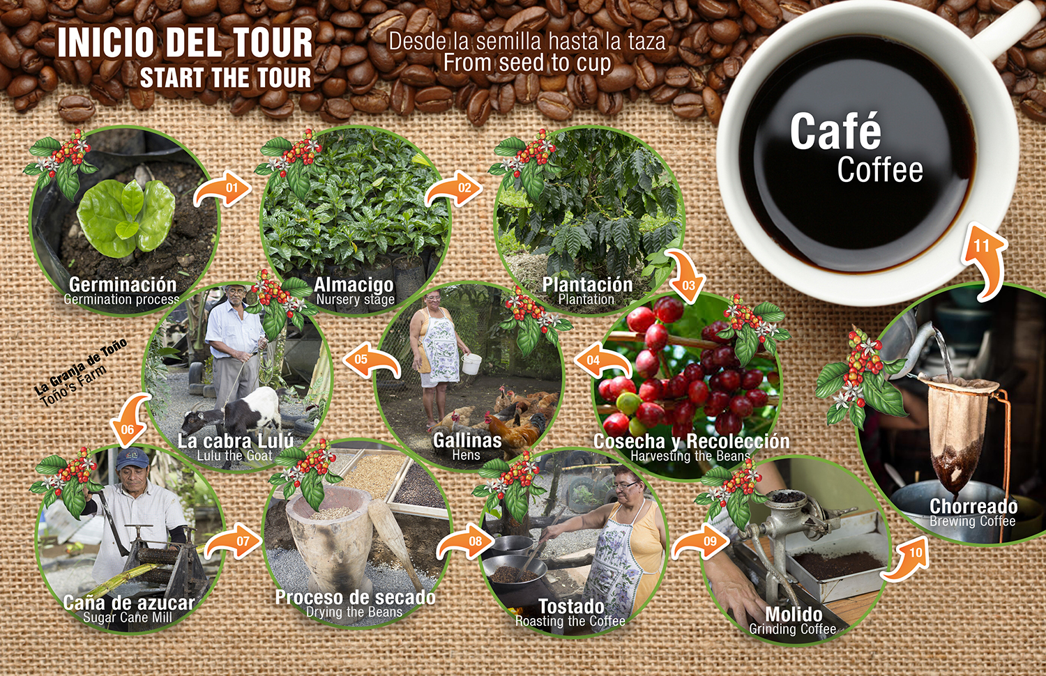 Coffee and Chocolate Tours 📞【 NORTH FIELDS COFFEE 】🙌