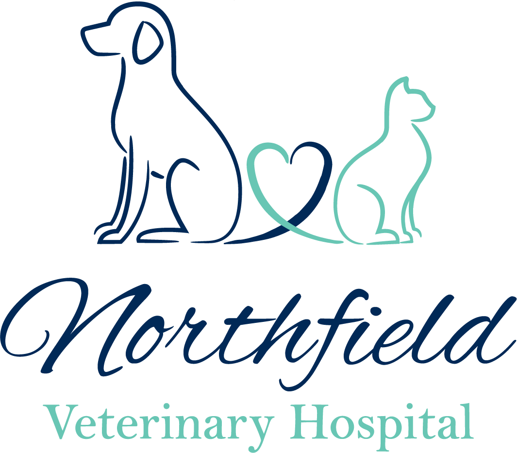 Veterinary Hospital