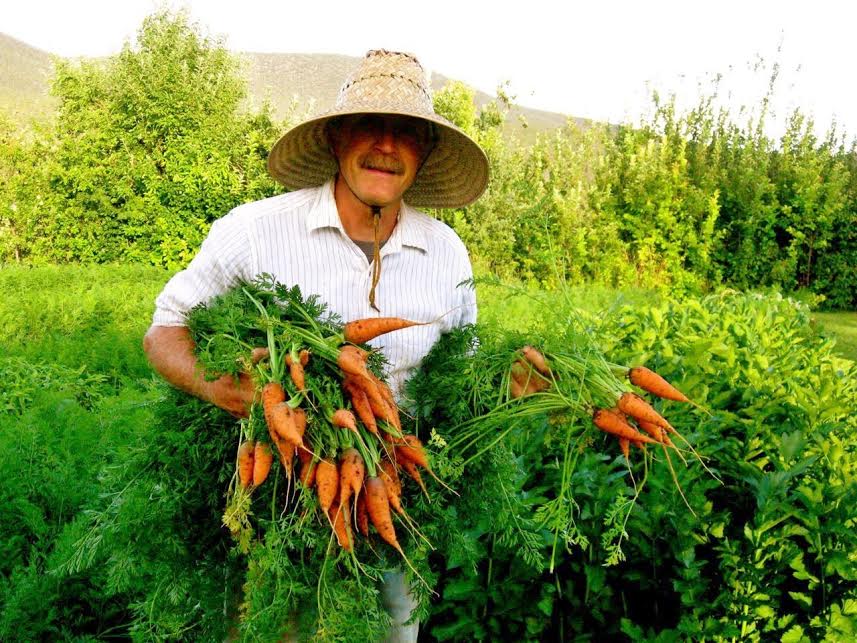 What's Up On Redlands Mesa? A Farm, Garden and Artists' Studio Tour