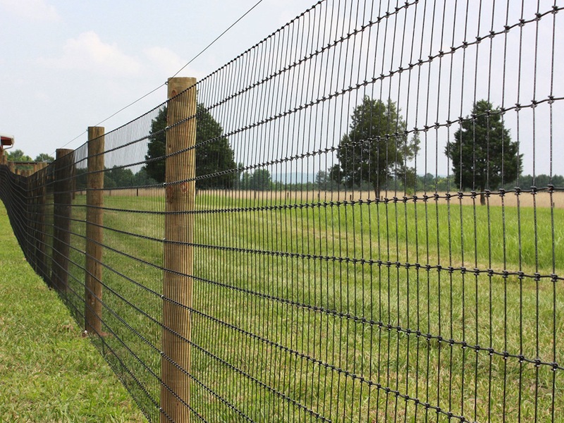 Northfork Ranch Supply Your Total Livestock Farm Supply Store...and More!