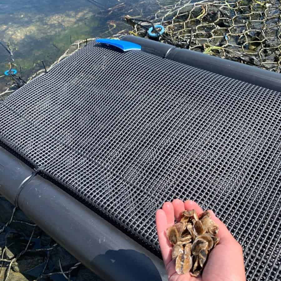 Sip, Nosh, and Toast What to enjoy on the North Fork North Fork