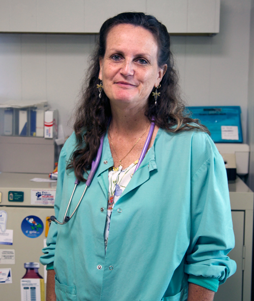 North Fork Veterinary Hospital Vet in Timberville close to Harrisonburg