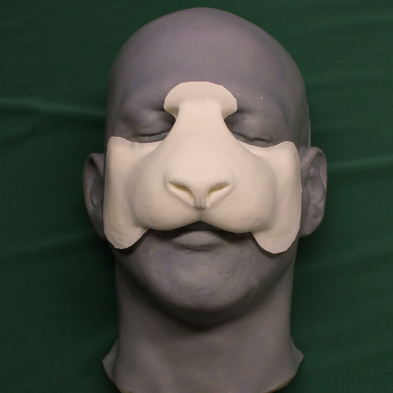 Panda Nose