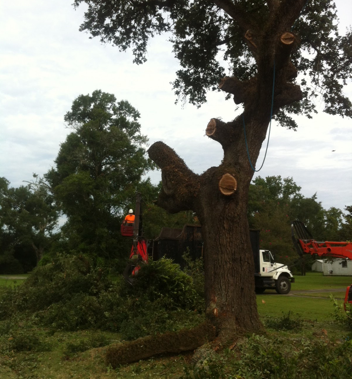 Projects in Louisiana Northgate Land Development