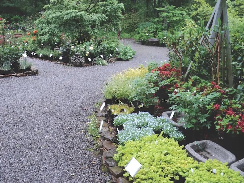 Goodness Grows Nursery in Lexington North Living