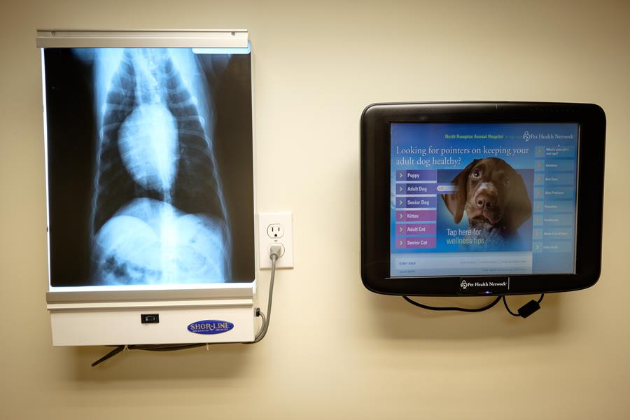 Radiology in North Hampton, NH North Hampton Animal Hospital
