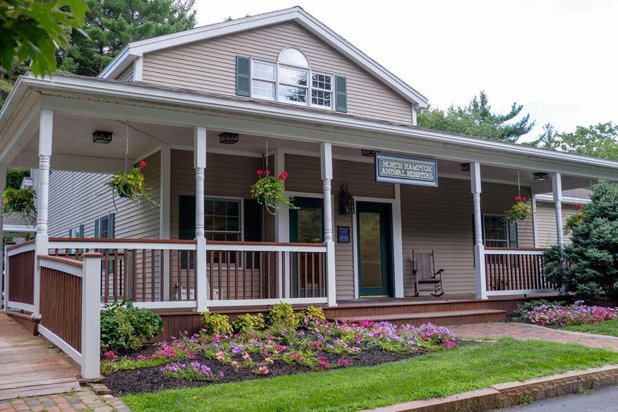 Veterinarian in North Hampton, NH North Hampton Animal Hospital