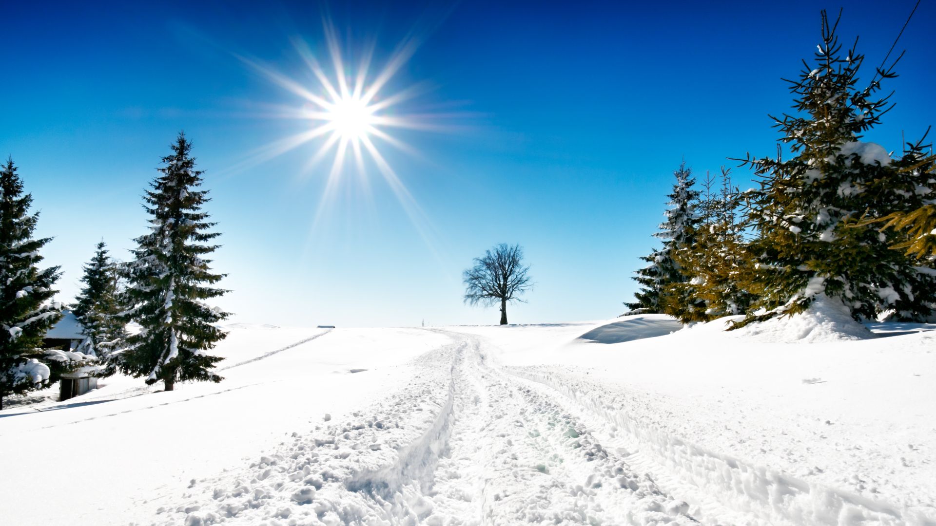 Clima North Macedonia Timeless