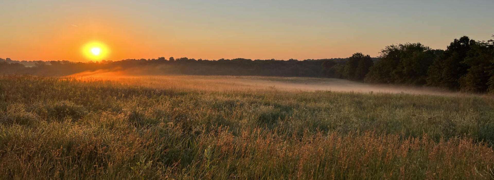 Land Auctions in Missouri MO Farm & Ag Land for Auction