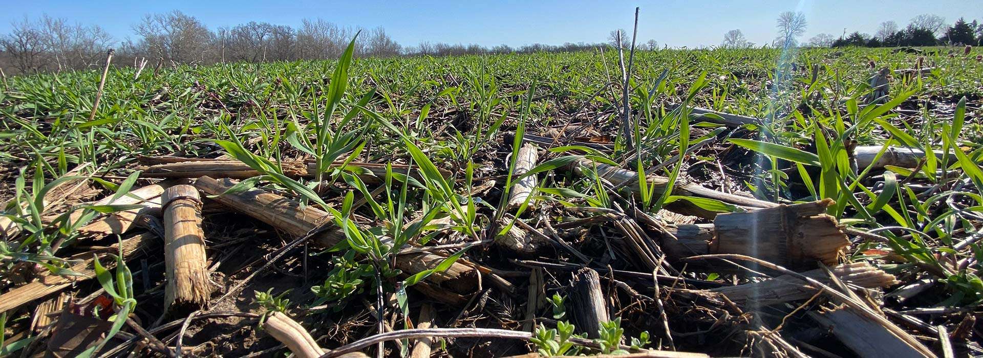 Sell Your Land in Missouri Northern MO Real Estate Agents