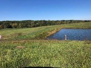 44 Acres in New Boston, MO