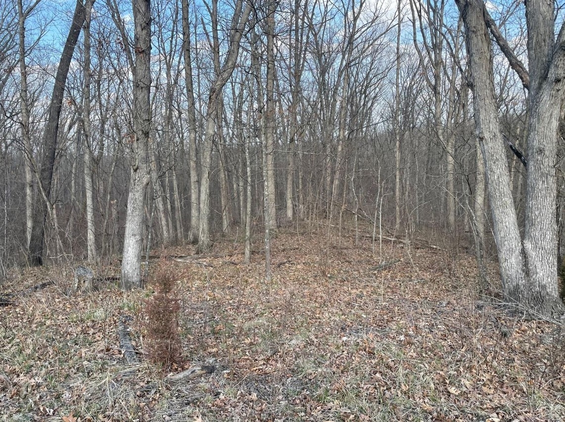 5 Acres Bethel Ridge Rd. Adair County, MO