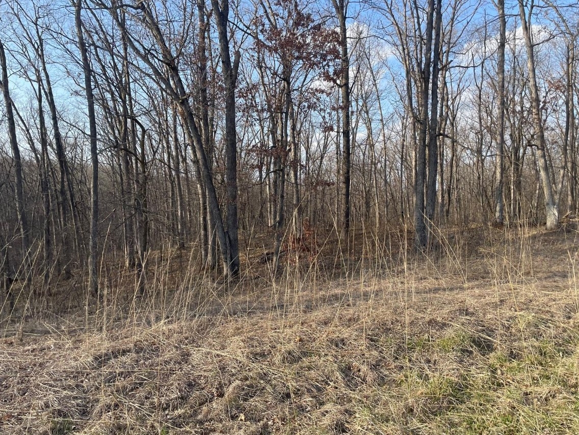 5 Acres Bethel Ridge Rd. Adair County, MO