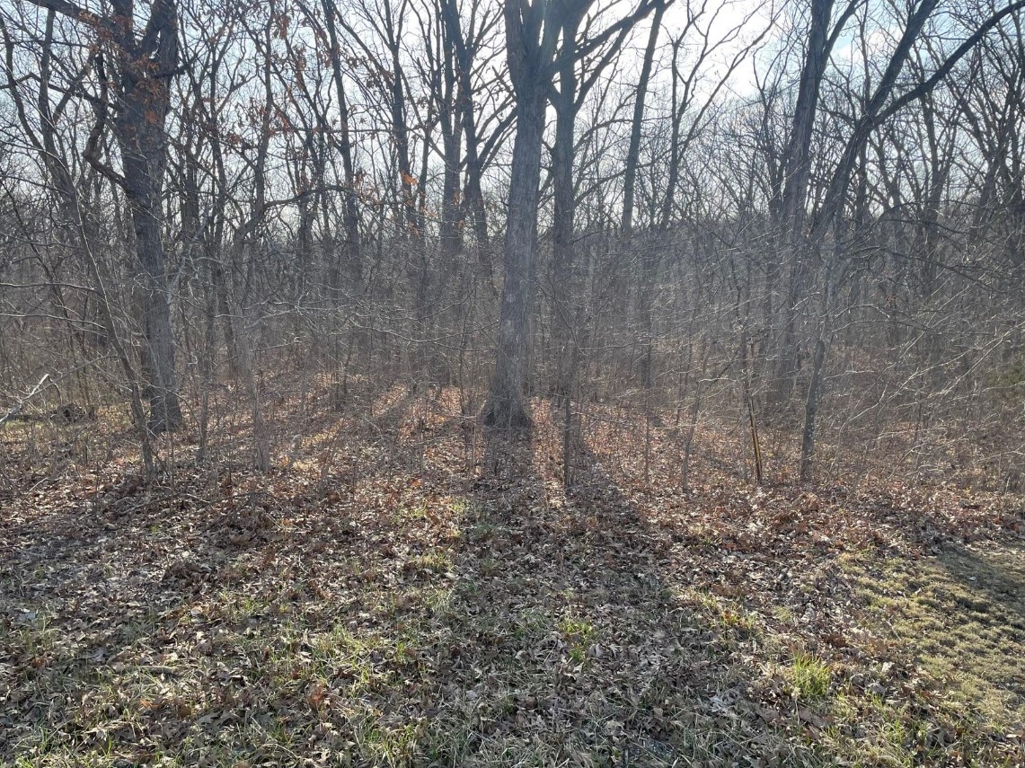 5 Acres Bethel Ridge Rd. Adair County, MO