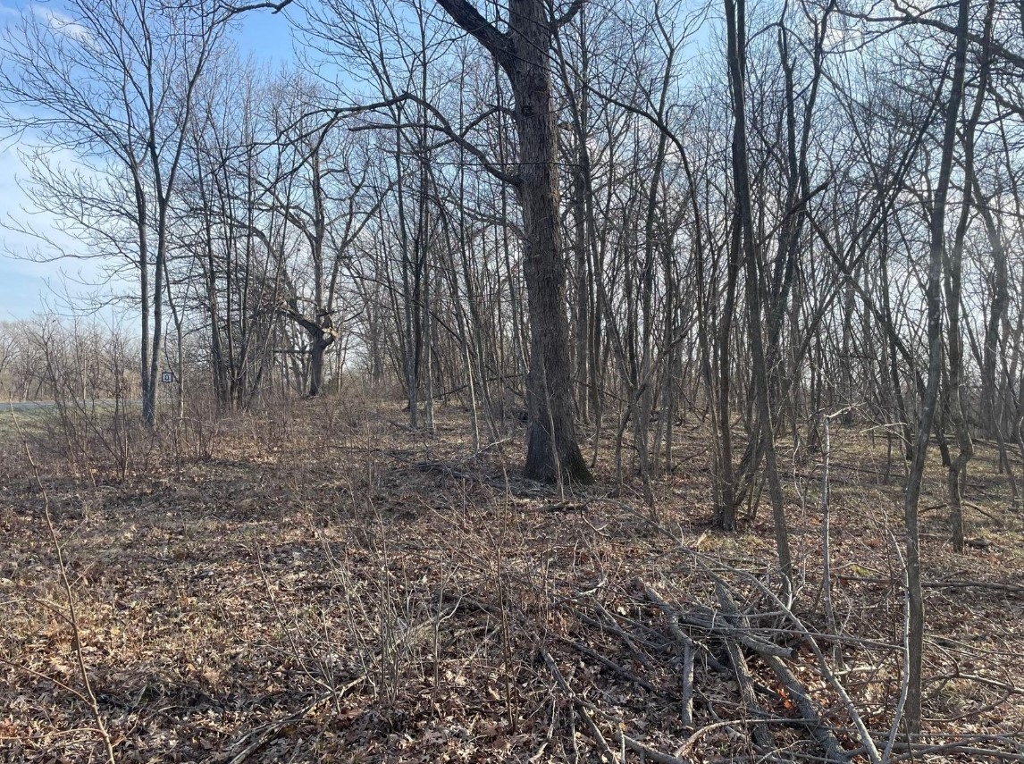 5 Acres Bethel Ridge Rd. Adair County, MO