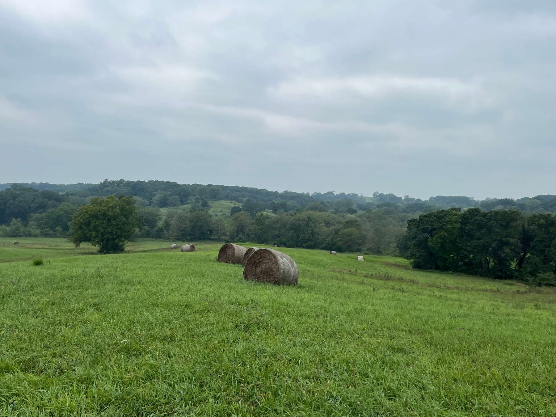 40 Acres in New Boston, MO