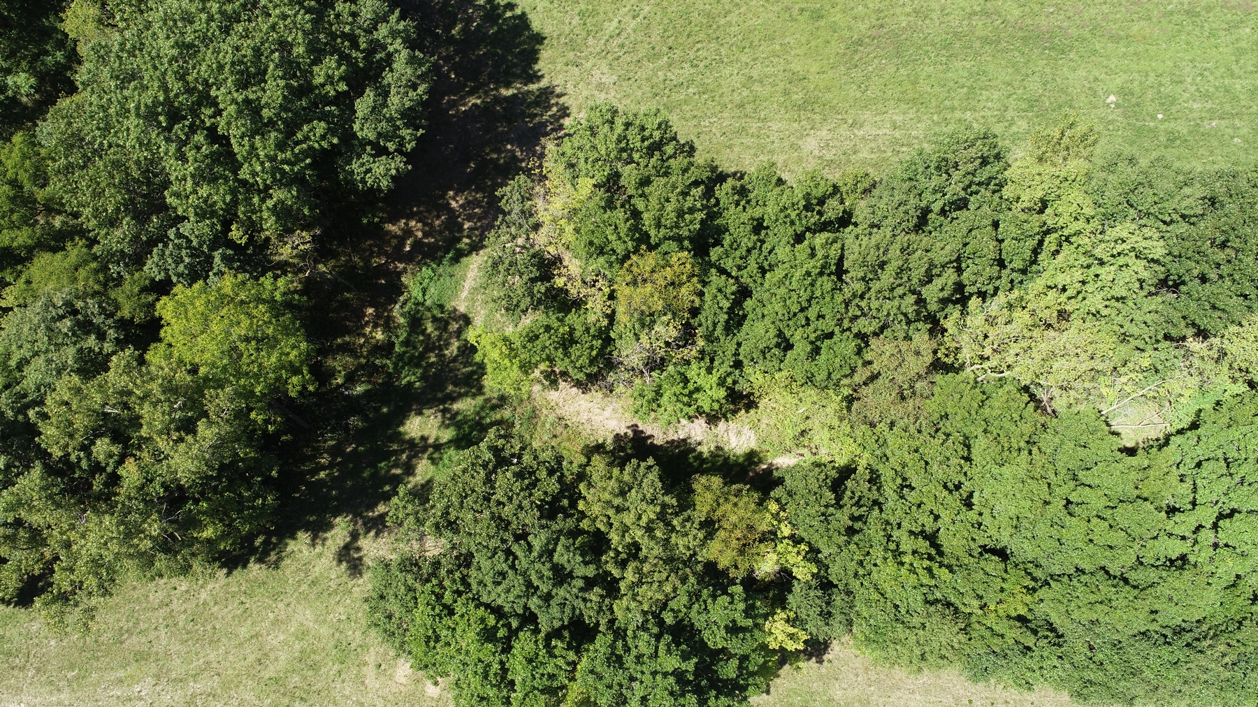 38 Acres Hamlet St. Excello, MO