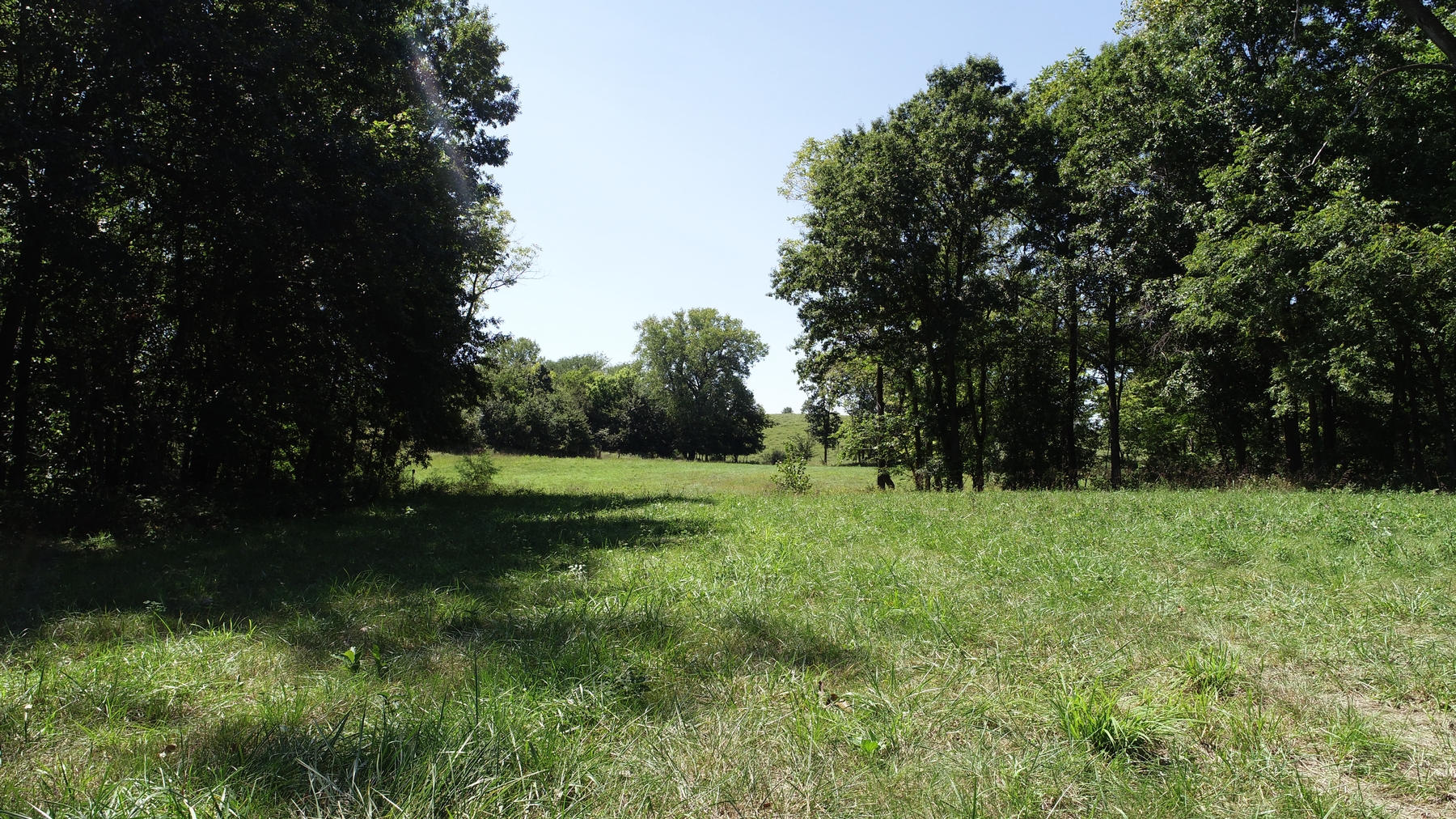 38 Acres Hamlet St. Excello, MO